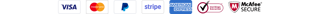 Payment Providers